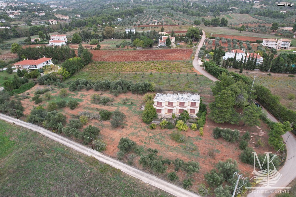 Αγροτεμάχια 7.000 τ.μ. πρός πώληση, Αττική - Υπόλοιπο, Κ. Καπανδριτίου