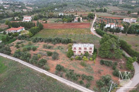 Αγροτεμάχια 7.000τ.μ. για πώληση-Κ. καπανδριτίου