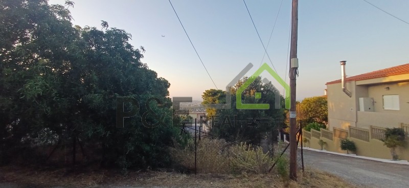 Οικόπεδο 228 τ.μ. πρός πώληση, Αθήνα - Ανατολικά Προάστια, Αρτέμιδα (λούτσα)