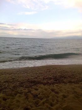 Αγροτεμάχια 16.000 τ.μ. για πώληση
