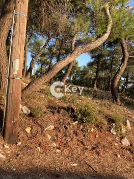 Land plot 1.049 sqm for sale