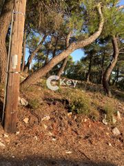 Οικόπεδο 1.049 τ.μ. για πώληση