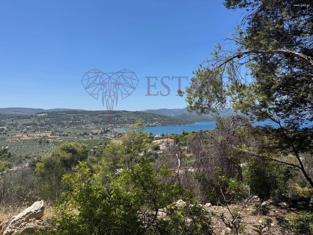 Οικόπεδο 1.029 τ.μ. πρός πώληση, Φθιώτιδας, Μαλεσίνα