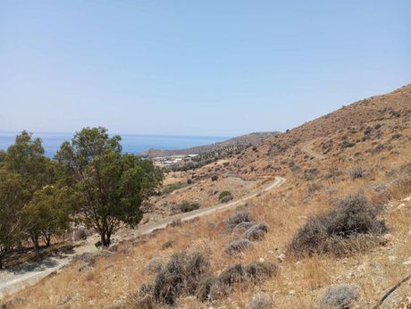 Οικόπεδο 4.150τ.μ. για πώληση-Γορτύνα » Λέντας