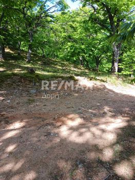Parcel 14.500 sqm for sale