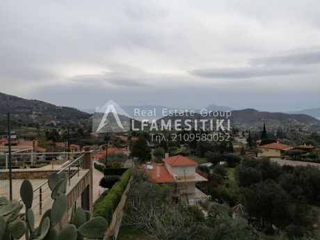 Οικόπεδο 2.900 τ.μ. για πώληση