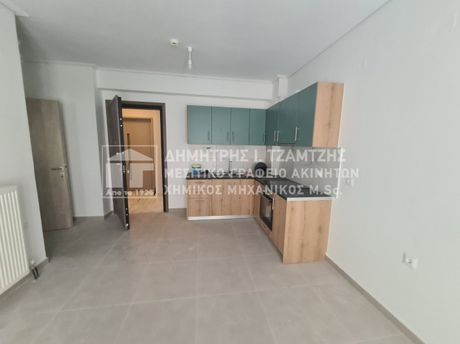 Διαμέρισμα 44τ.μ. για ενοικίαση-Βόλος » Μεταμόρφωση