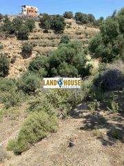 Αγροτεμάχια 4.300 τ.μ. προς πώληση, Γάλλος-thumb-9