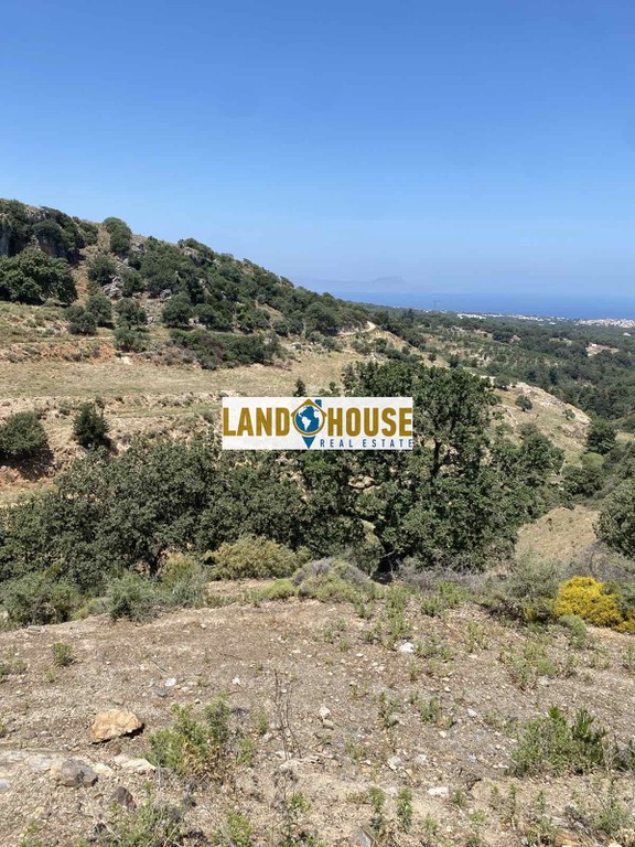 Αγροτεμάχια 4.300 τ.μ. πρός πώληση, Ν. Ρεθύμνου, Ρέθυμνο