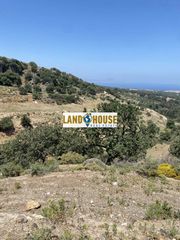Αγροτεμάχια 4.300 τ.μ. προς πώληση, Γάλλος-thumb-3