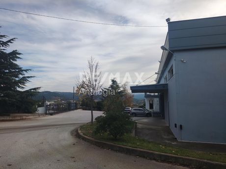 Επιχειρηματικό κτίριο 1.100 τ.μ. για ενοικίαση