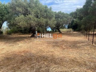 Αγροτεμάχια 1.050 τ.μ. για πώληση