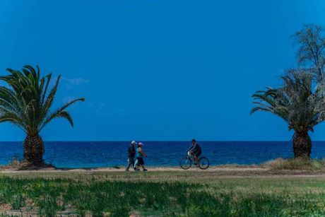 Parcel 10.000sqm for sale-Moudania » Portaria