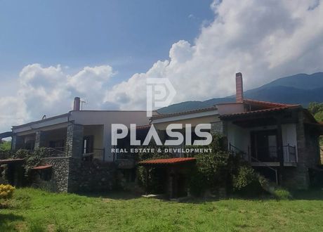 Detached home 400sqm for sale-Kerkini