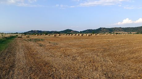 Αγροτεμάχια 15.000τ.μ. για πώληση-Μουζάκι » Μαγουλίτσα