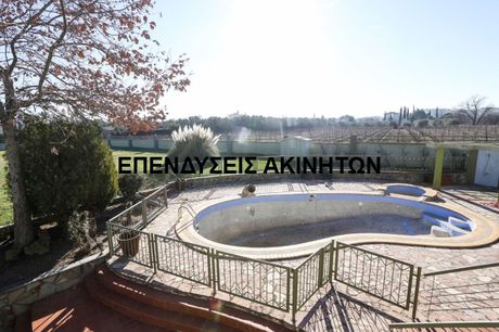 Μονοκατοικία 250 τ.μ. για ενοικίαση