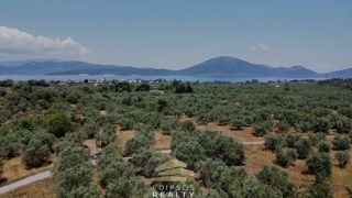 Οικόπεδο 4.010 τ.μ. για πώληση, Εύβοια, Αιδηψός-thumb-10