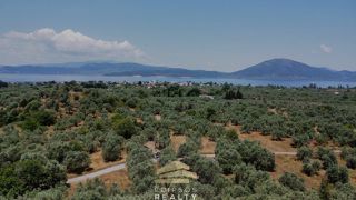 Οικόπεδο 4.010 τ.μ. για πώληση, Εύβοια, Αιδηψός-thumb-6