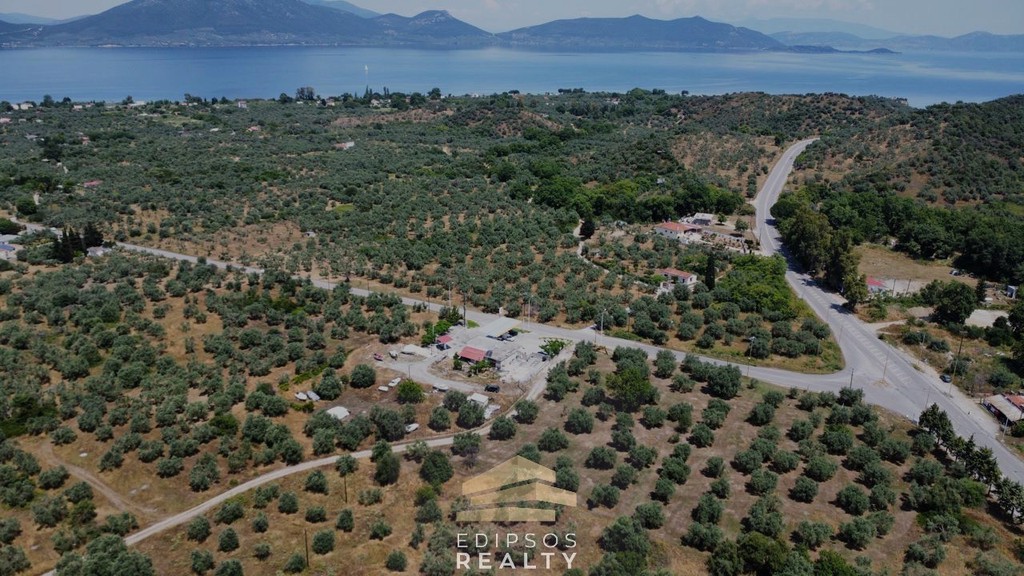 Οικόπεδο 4.010 τ.μ. προς πώληση, Αγιόκαμπος Αιδηψού