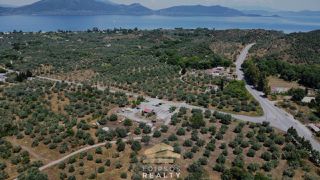 Οικόπεδο 4.010 τ.μ. για πώληση, Εύβοια, Αιδηψός-thumb-2