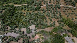 Οικόπεδο 4.010 τ.μ. για πώληση, Εύβοια, Αιδηψός-thumb-9