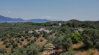 Οικόπεδο 4.010 τ.μ. για πώληση, Εύβοια, Αιδηψός-thumb-7
