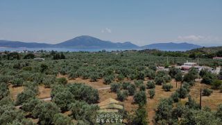 Οικόπεδο 4.010 τ.μ. για πώληση, Εύβοια, Αιδηψός-thumb-5