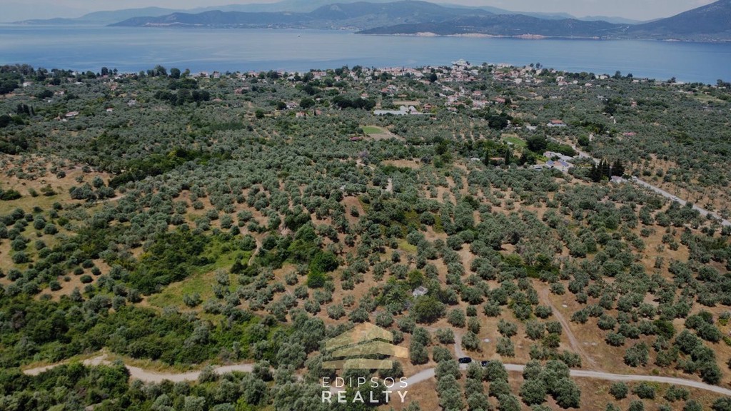 Οικόπεδο 4.010 τ.μ. προς πώληση, Αγιόκαμπος Αιδηψού
