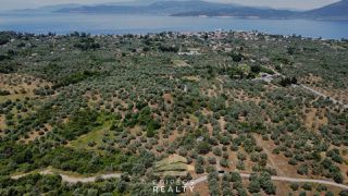Οικόπεδο 4.010 τ.μ. για πώληση, Εύβοια, Αιδηψός-thumb-4