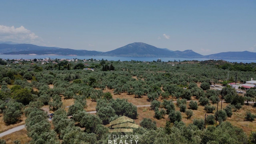 Οικόπεδο 4.010 τ.μ. για πώληση, Εύβοια, Αιδηψός