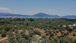 Οικόπεδο 4.010 τ.μ. για πώληση