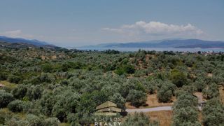 Οικόπεδο 4.010 τ.μ. για πώληση, Εύβοια, Αιδηψός-thumb-11