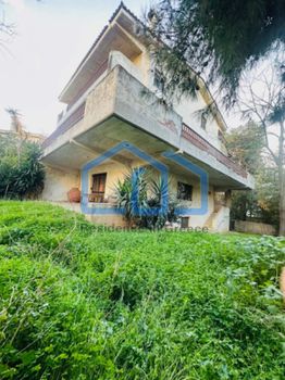 Μονοκατοικία 440τ.μ. για πώληση-Νέα ερυθραία