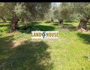 Αγροτεμάχια 4.600τ.μ. για πώληση-Ρέθυμνο