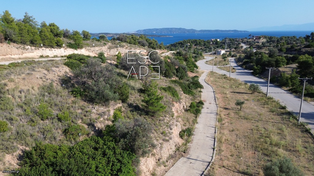 Οικόπεδο 400 τ.μ. πρός πώληση, Αργολίδα, Κρανίδι