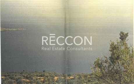 Οικόπεδο 1.871τ.μ. για πώληση-Ακραίφνια » Ακραίφνιο