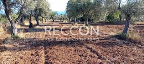 Parcel 4.000sqm for sale-Amarinthos » Galazia Nera