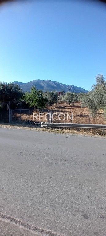 Αγροτεμάχια 4.000 τ.μ. προς πώληση, Γαλάζια Νερά