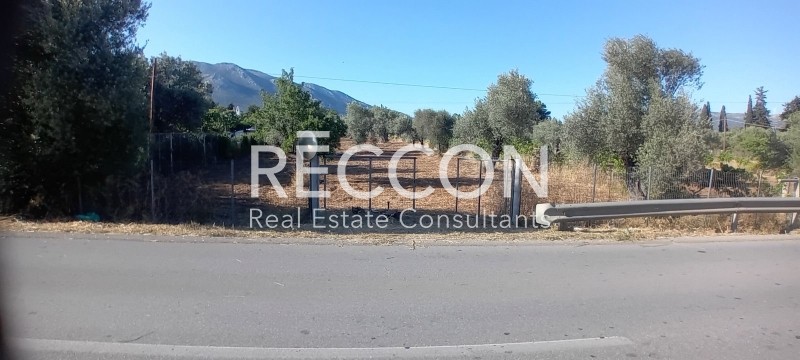 Αγροτεμάχια 4.000 τ.μ. προς πώληση, Γαλάζια Νερά