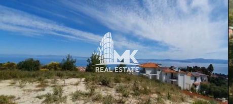 Αγροτεμάχια 11.000τ.μ. για πώληση-Κασσάνδρα » Πευκοχώρι