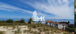 Αγροτεμάχια 11.000 τ.μ. πρός πώληση