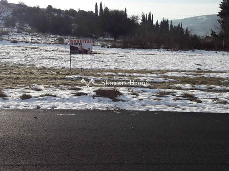 Οικόπεδο 1.247τ.μ. για πώληση-Πασσαρώνα