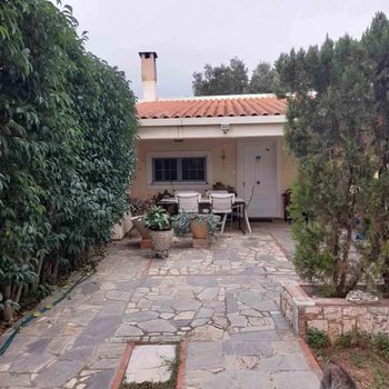 Διαμέρισμα 48τ.μ. για ενοικίαση-Κορωπί » Αγία μαρίνα