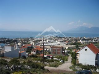 Οικόπεδο 266 τ.μ. για πώληση, Εύβοια, Χαλκίδα-thumb-2