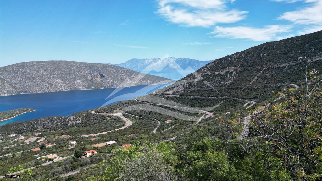 Οικόπεδο 1.020 τ.μ. πρός πώληση, Εύβοια, Ανθηδώνος