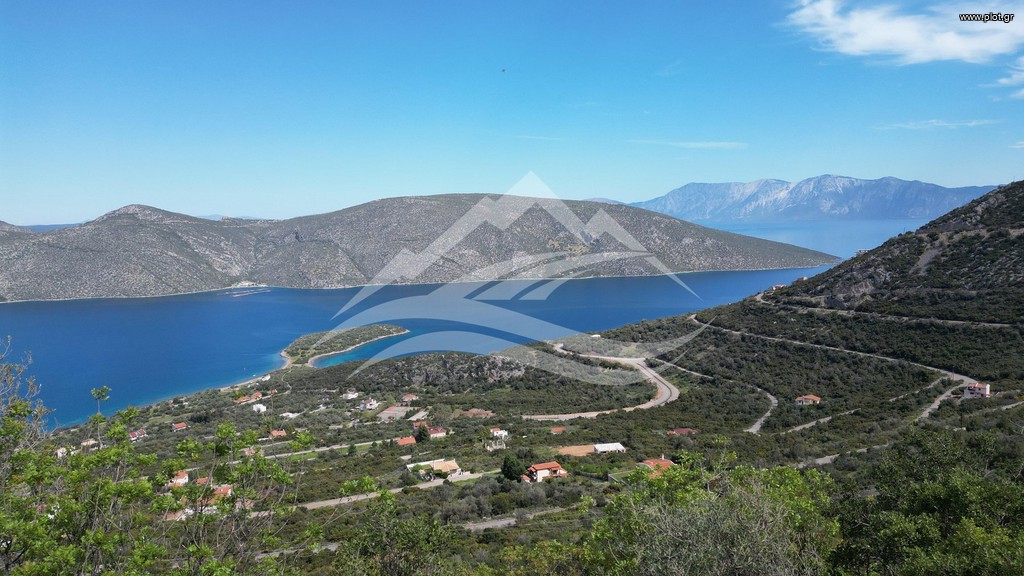 Οικόπεδο 1.020 τ.μ. πρός πώληση, Εύβοια, Ανθηδώνος