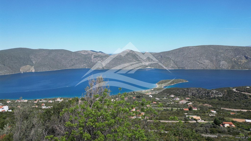 Οικόπεδο 1.020 τ.μ. πρός πώληση, Εύβοια, Ανθηδώνος