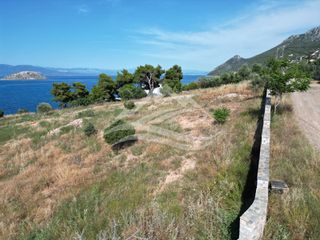 Οικόπεδο 7.315 τ.μ. για πώληση, Εύβοια, Ανθηδώνος-thumb-1