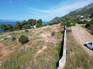 Οικόπεδο 7.315 τ.μ. για πώληση, Εύβοια, Ανθηδώνος-thumb-2