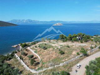 Οικόπεδο 7.315 τ.μ. για πώληση, Εύβοια, Ανθηδώνος-thumb-4